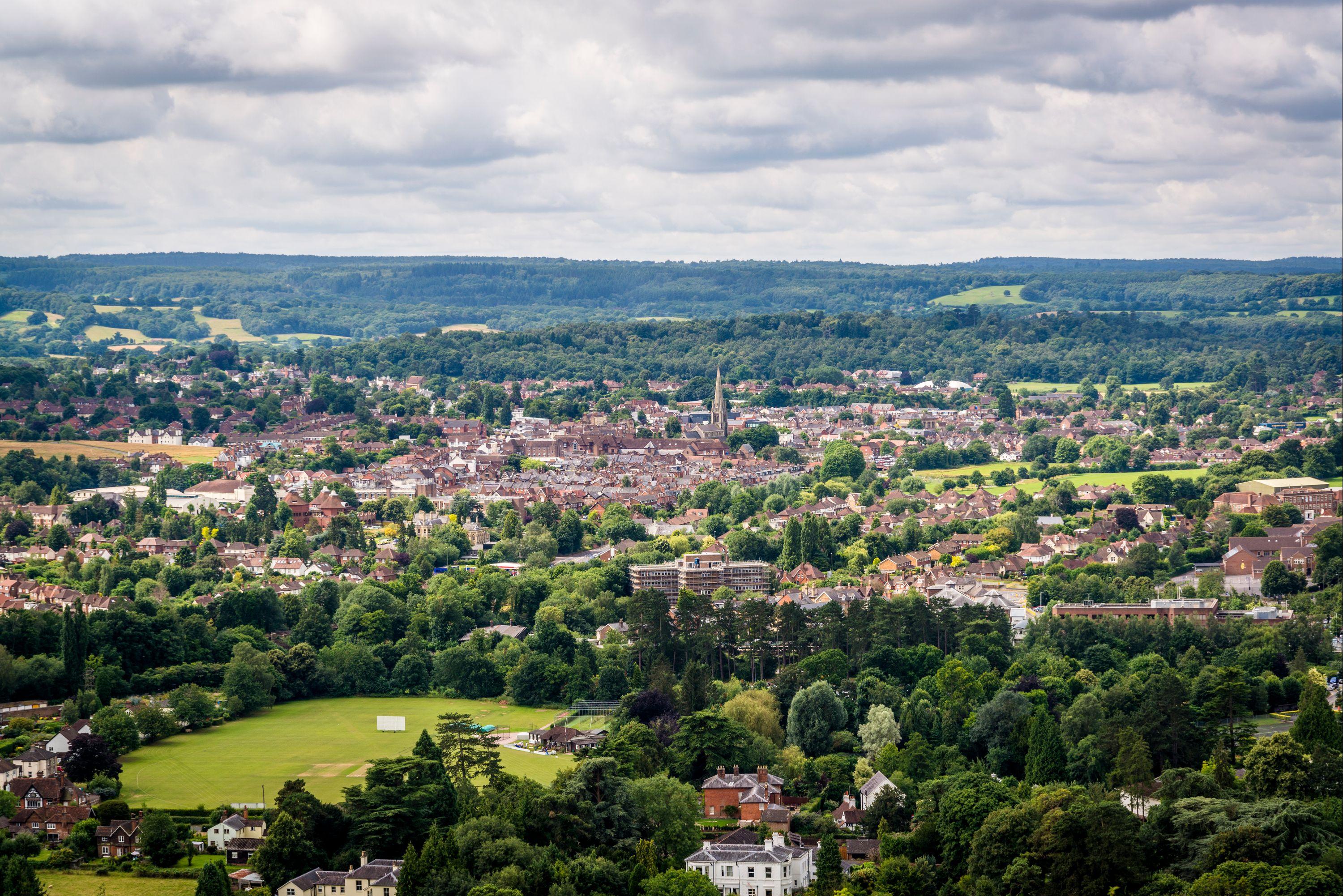Dorking sale pas cher