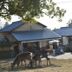 Bâtiment