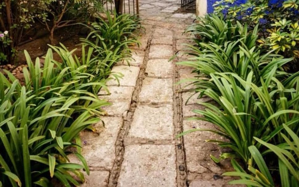 Extérieur Photo