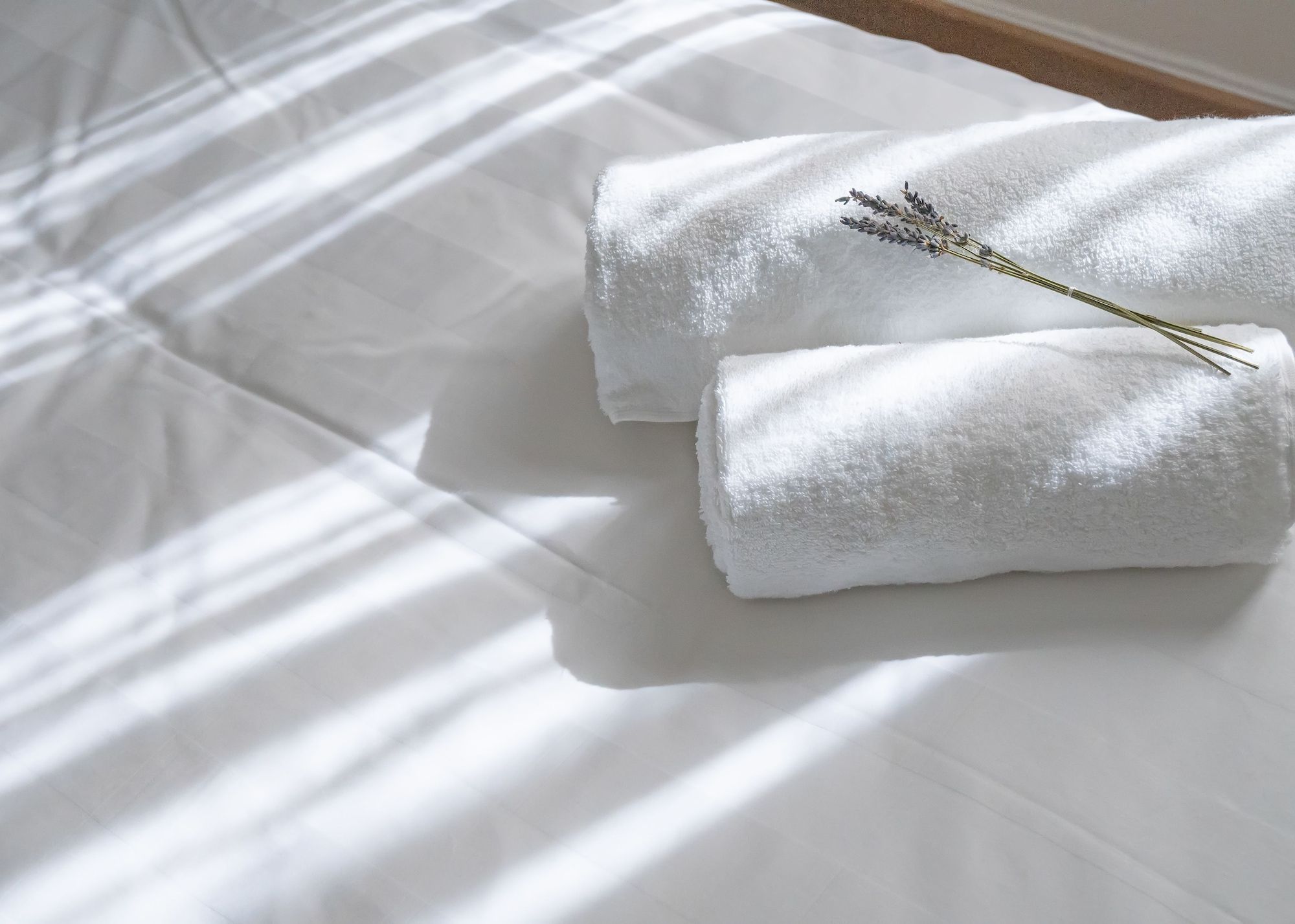 Équipements de la chambre
