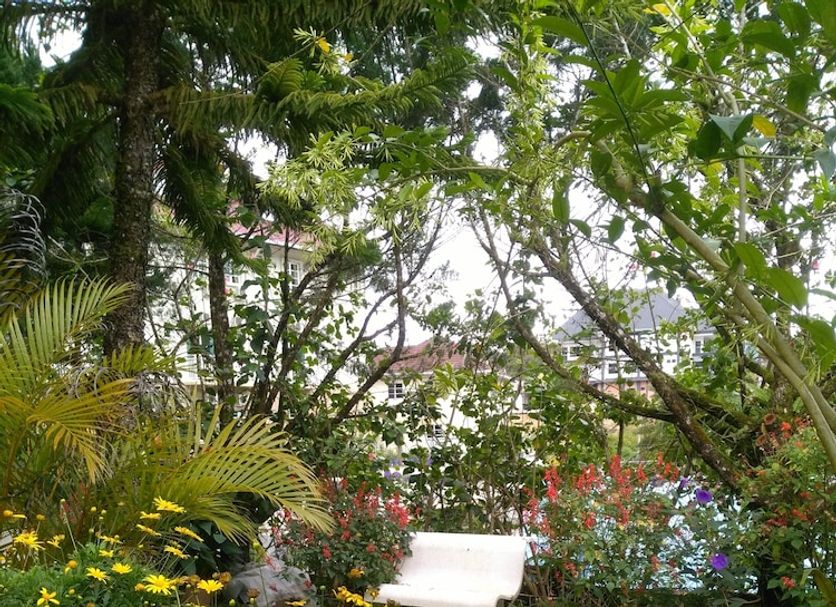 Extérieur Photo