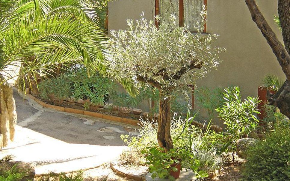 Extérieur Photo