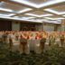 Salle de banquet