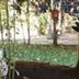 Autre