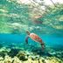 Autre