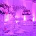 Salle de banquet
