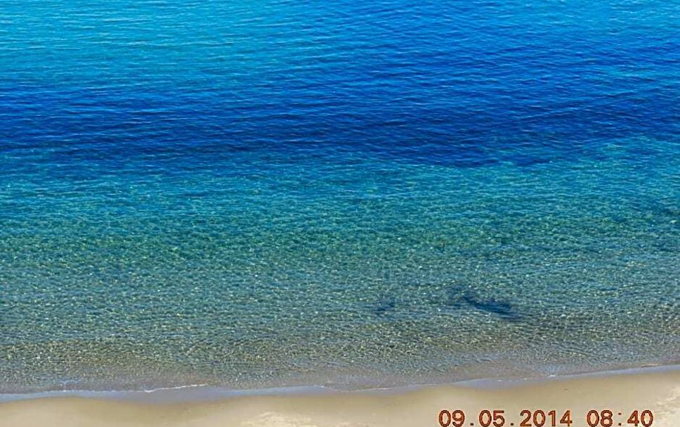 Plage Photo