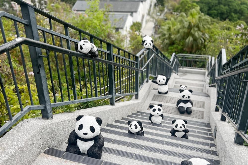 Escalier Photo