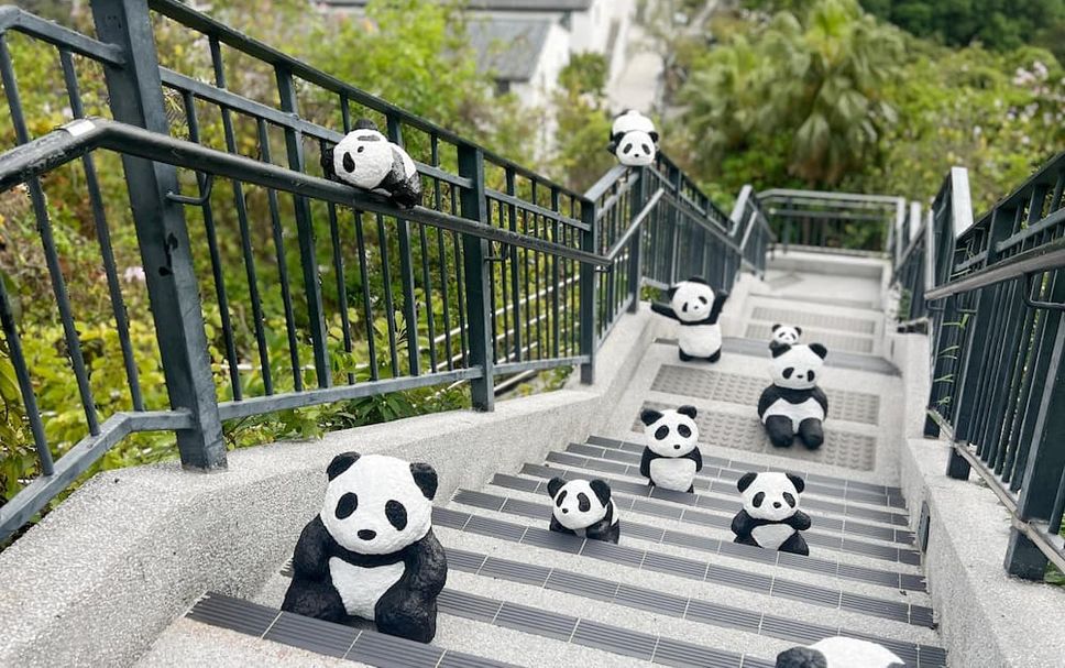 Escalier Photo