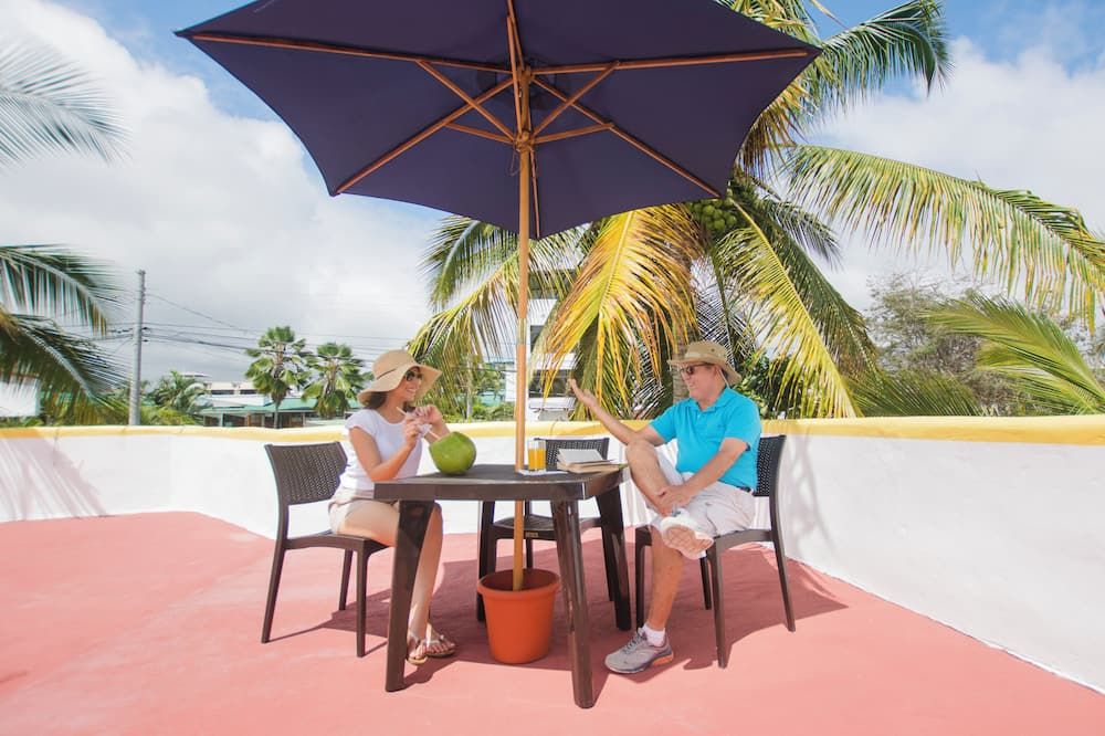 Toit-terrasse