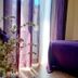 Équipements de la chambre