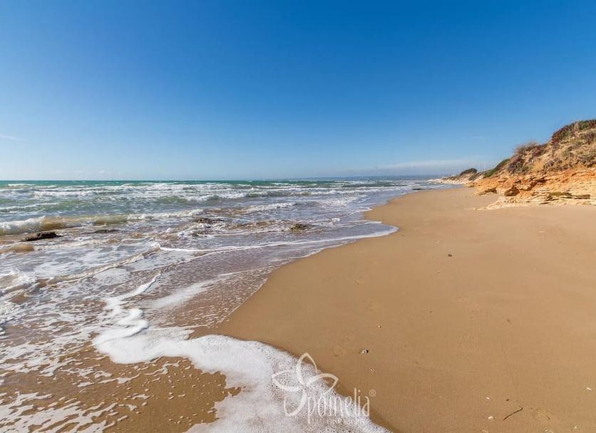 Plage Photo