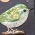Autre