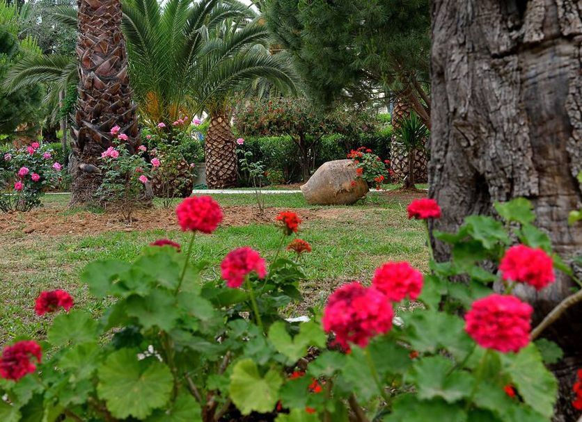 Extérieur Photo