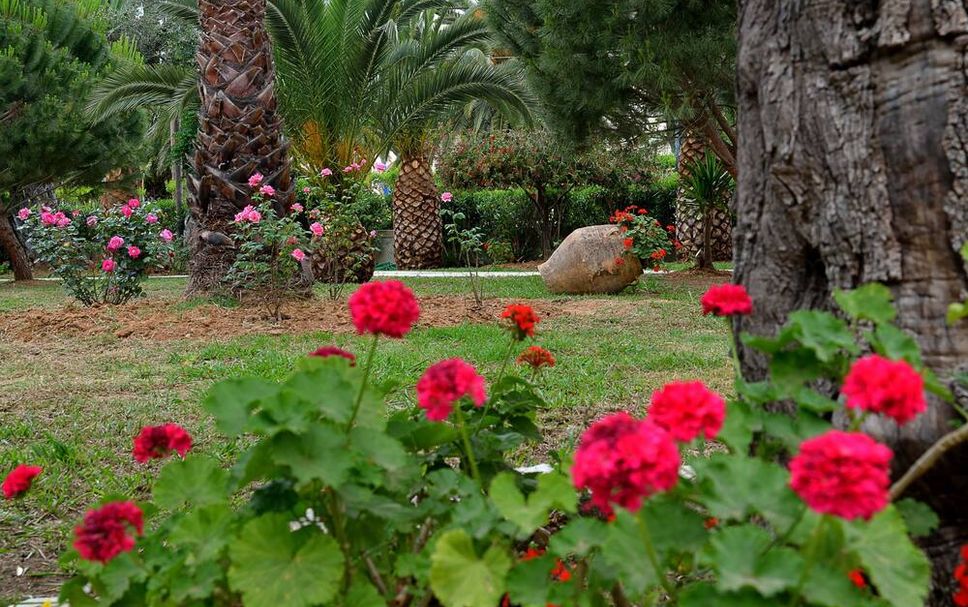 Extérieur Photo