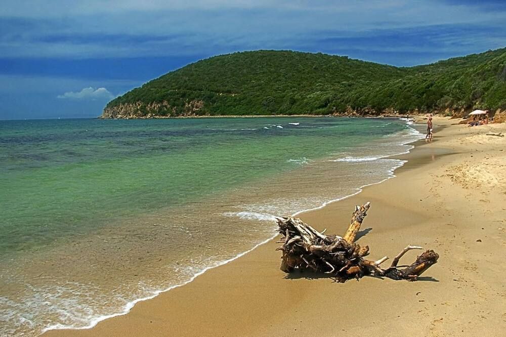 Plage Photo
