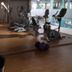 Autre