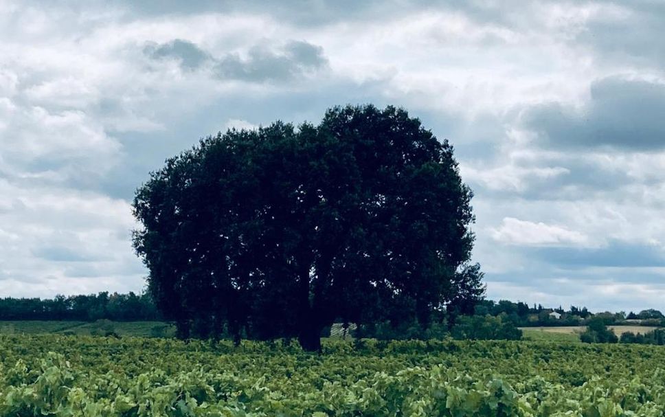 Extérieur Photo