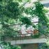 Autre