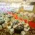 Salle de banquet