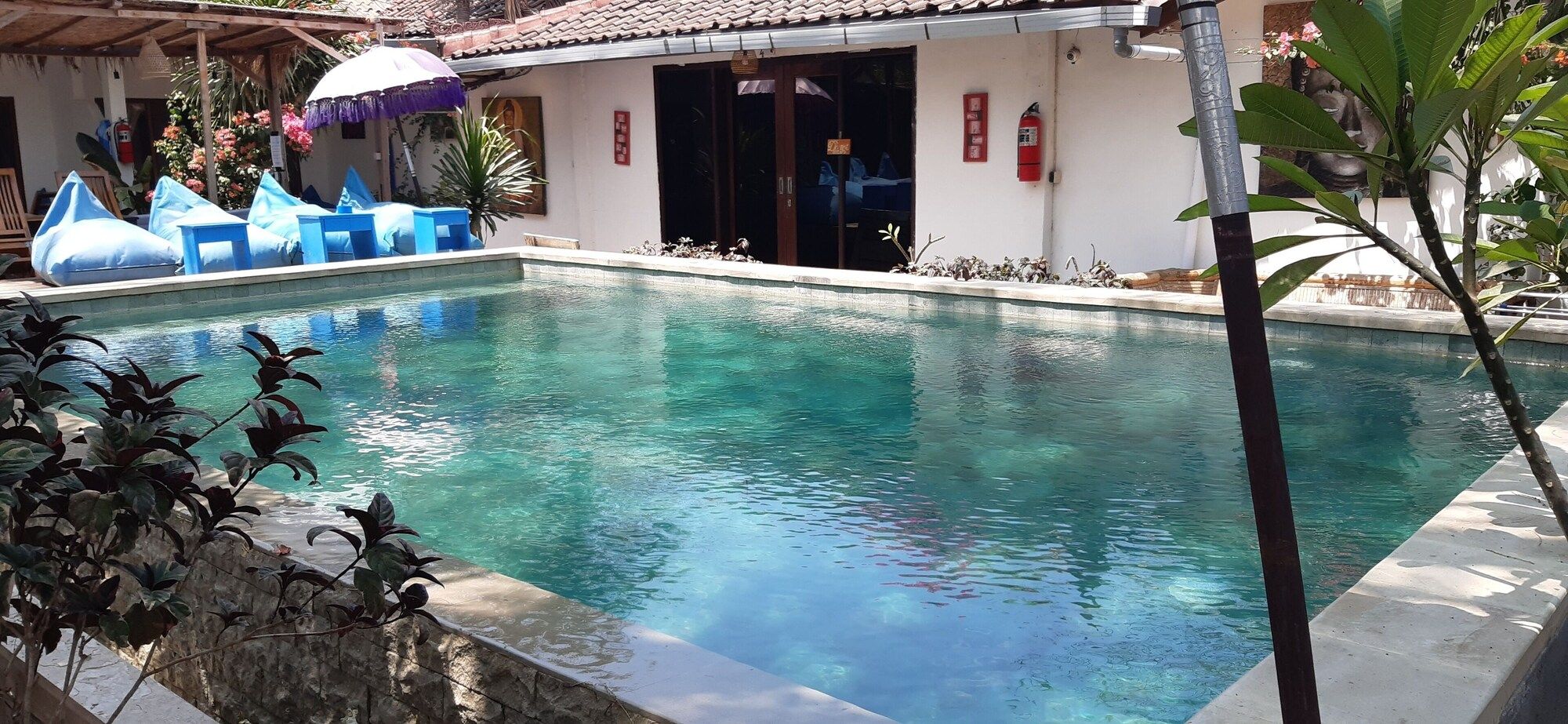 Piscine Photo