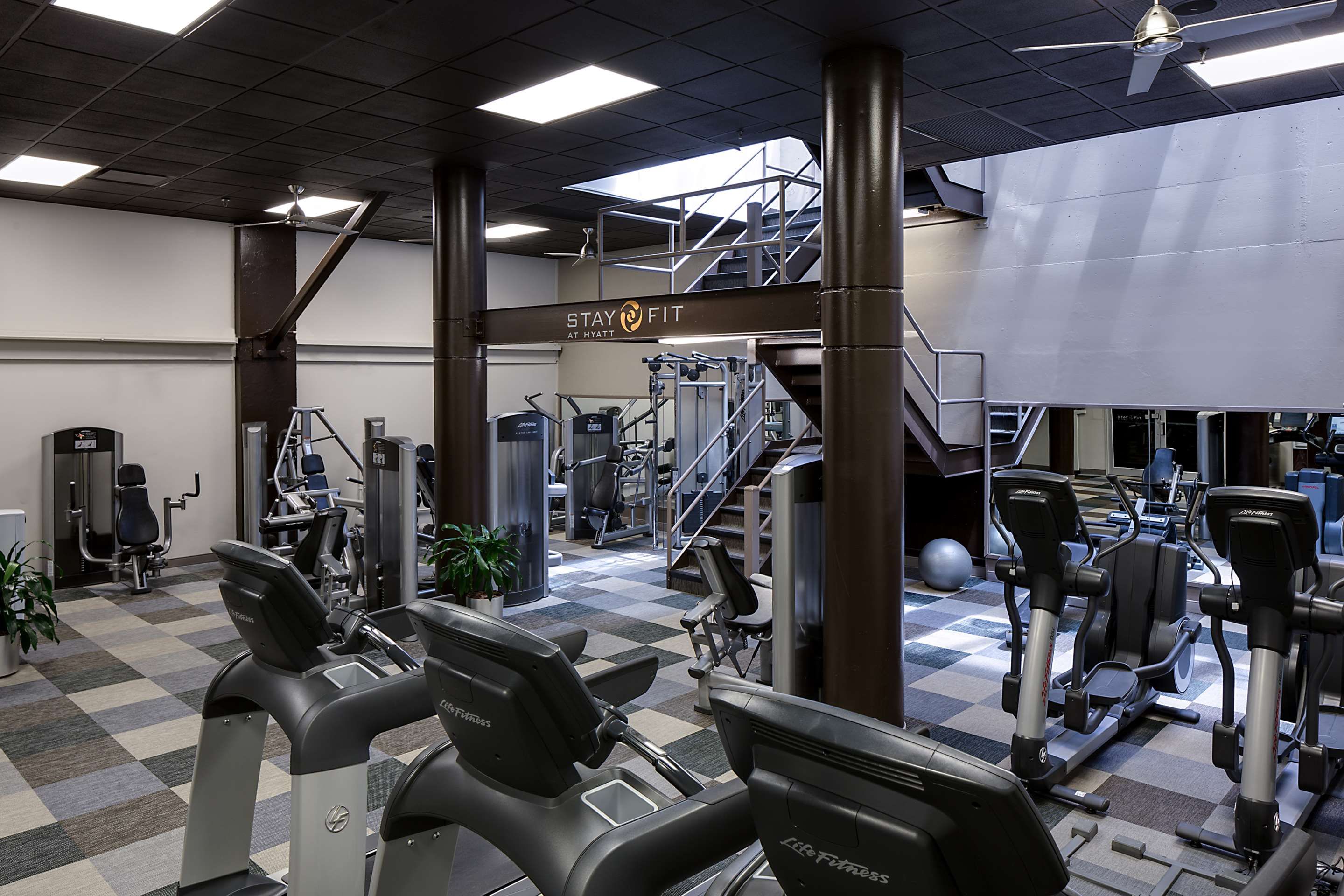 Salle de sport