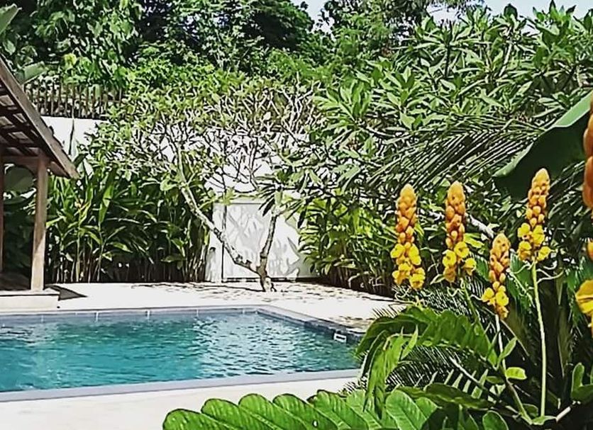 Piscine Photo