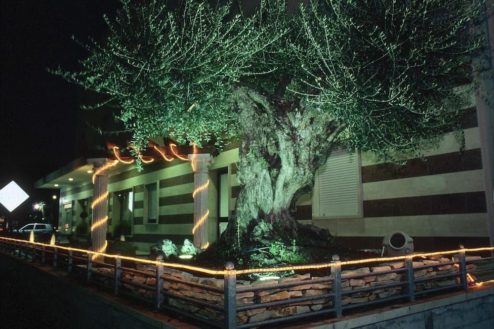 Extérieur