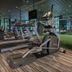 Salle de sport