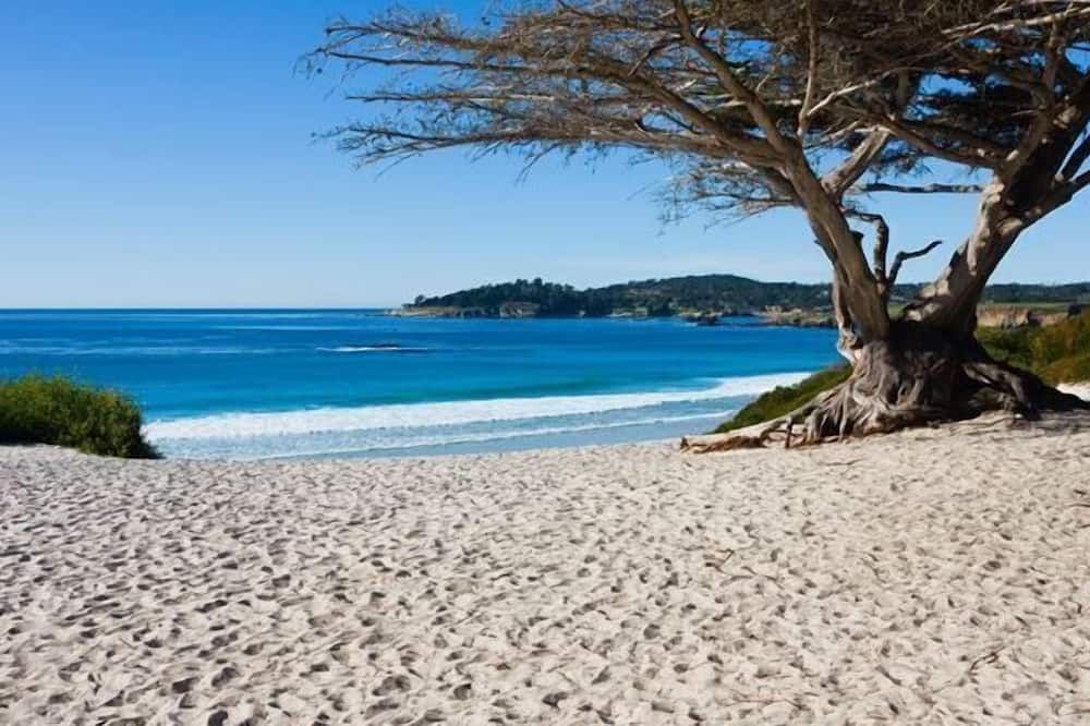 Plage Photo