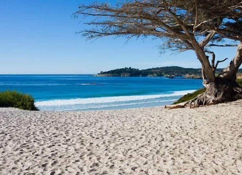 Plage Photo