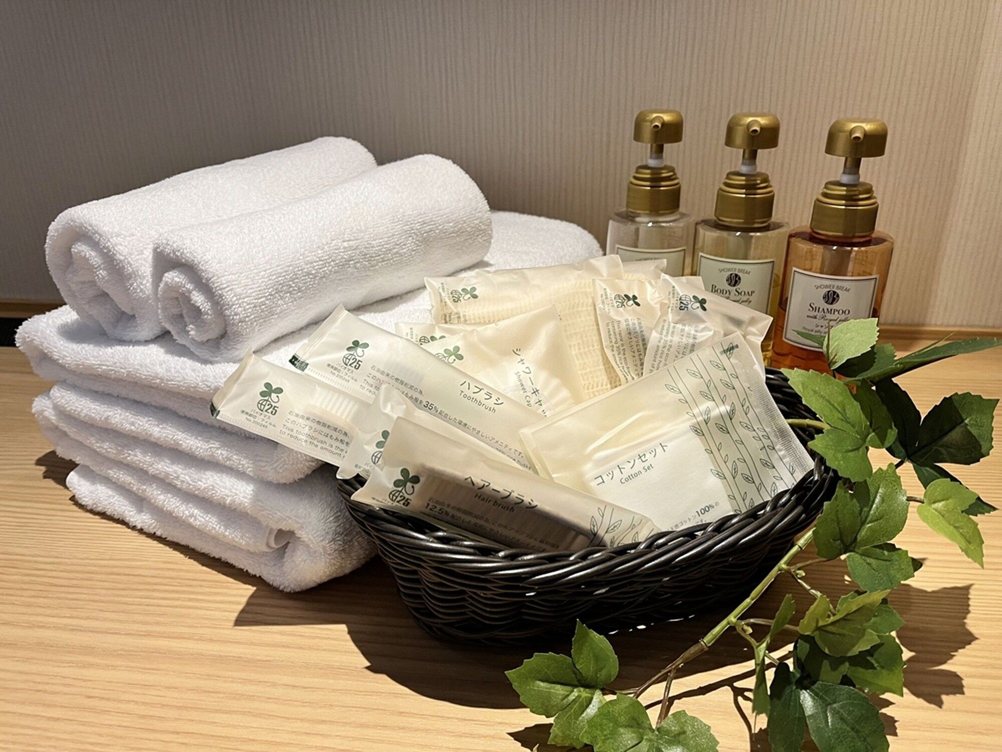 Équipements de la chambre