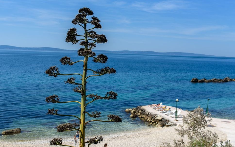 Plage Photo