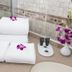 Équipements de la chambre