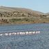 Autre
