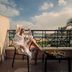 Balcon