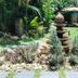 Autre