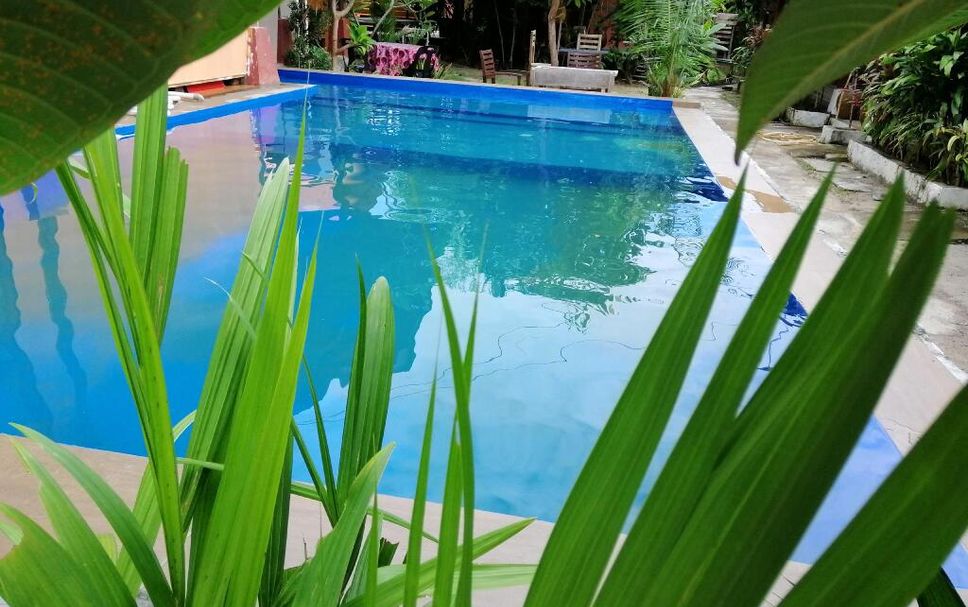 Piscine Photo