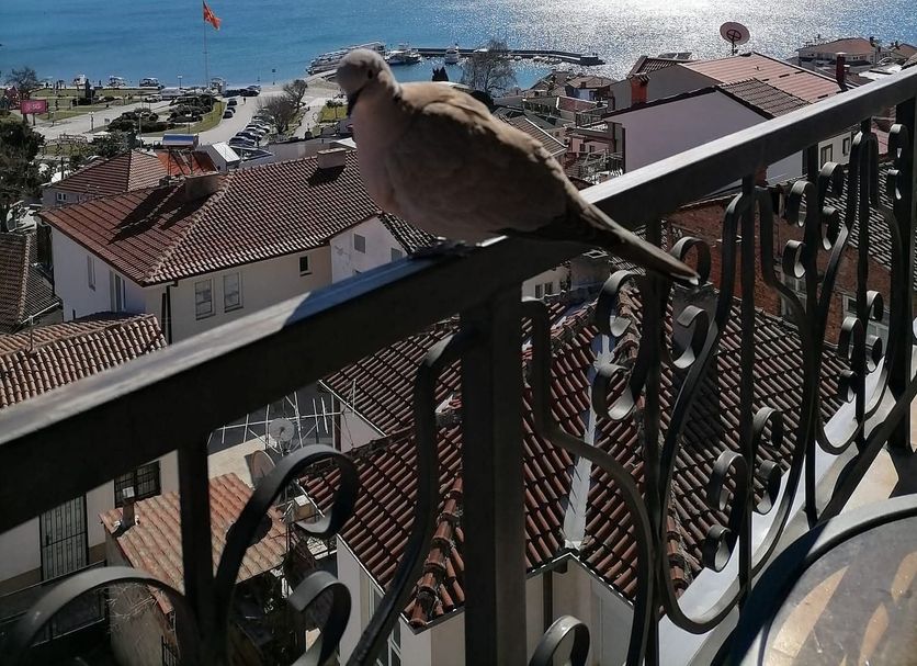 Balcon Photo