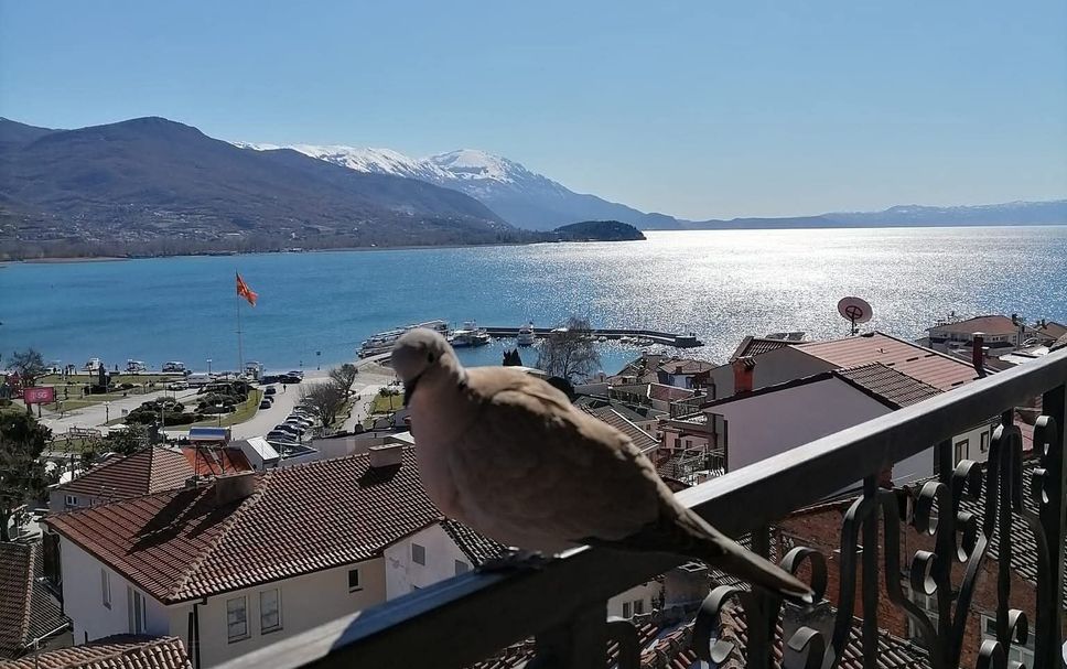 Balcon Photo