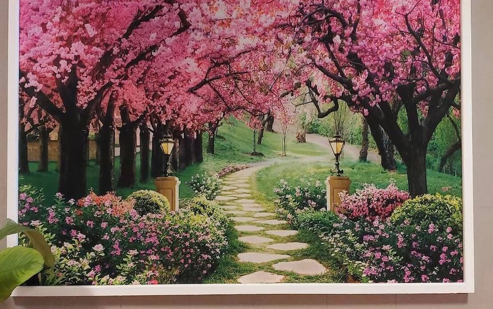 Extérieur Photo