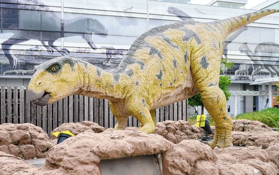 Extérieur Photo