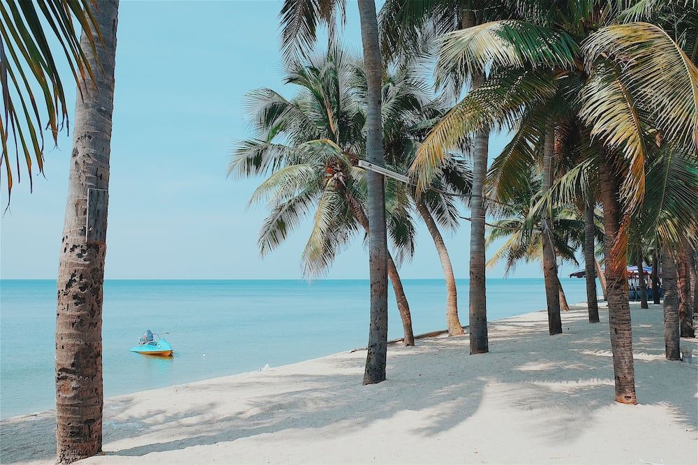 Plage