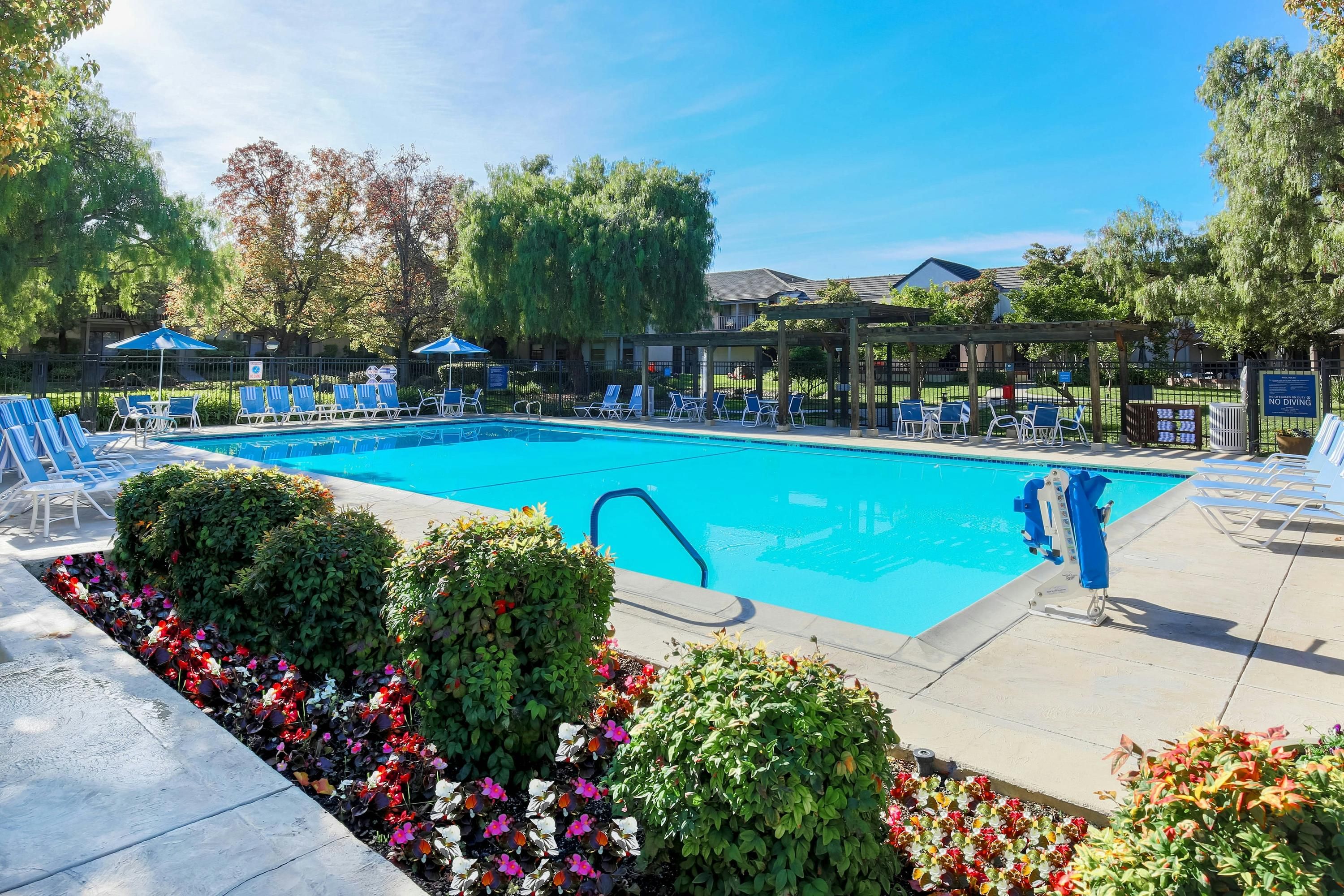 Piscine Photo
