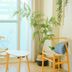 Autre