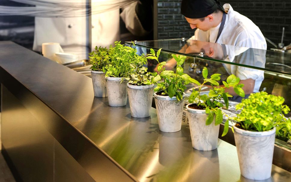 Restaurant Photo