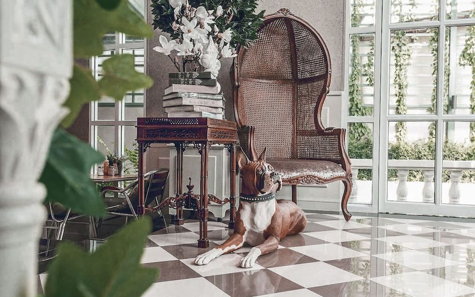 Hall d’entrée Photo