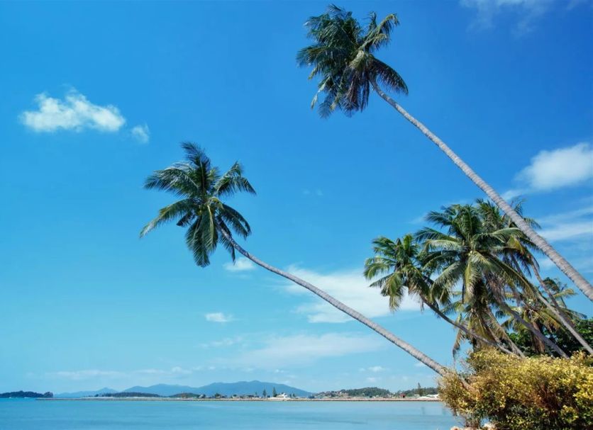 Plage Photo