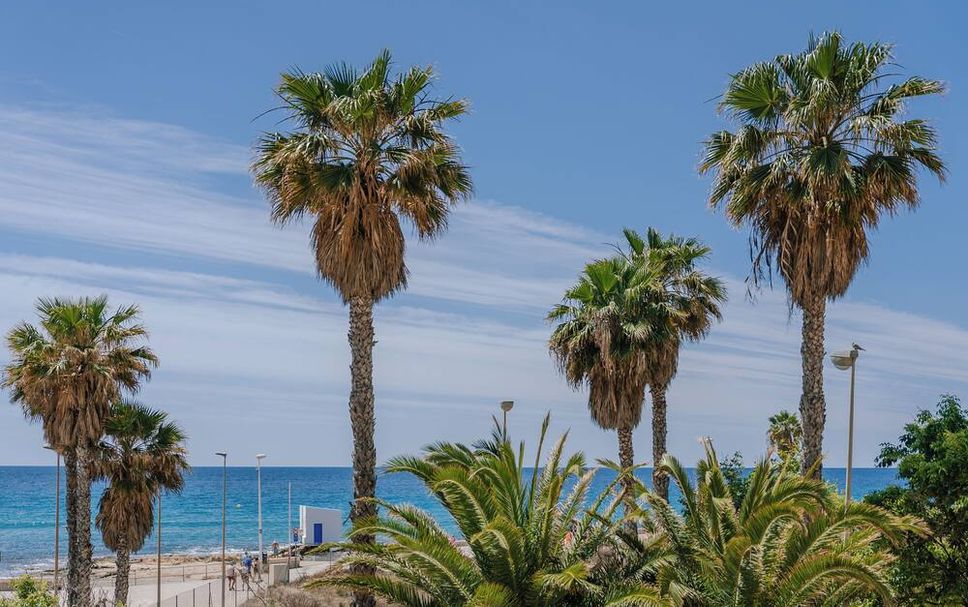 Plage Photo