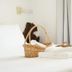 Équipements de la chambre